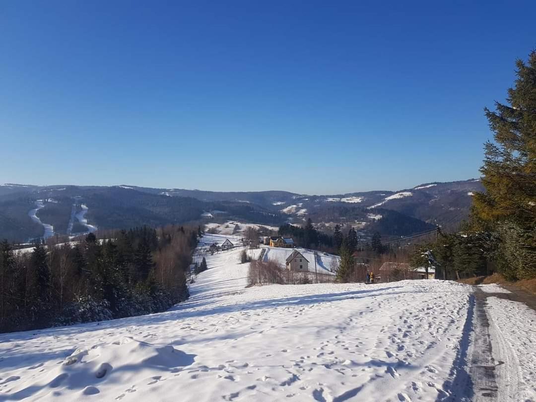 Pokoje Goscinne Angelika Wisła Buitenkant foto
